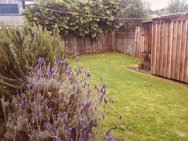 Mollies Place - Waihi Beach Holiday Unit Exterior photo